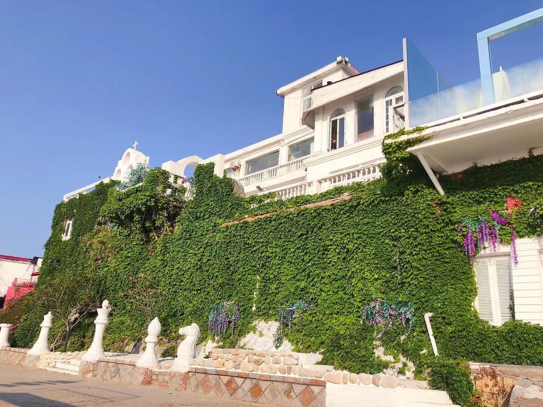 青岛旮旯小团圆客栈