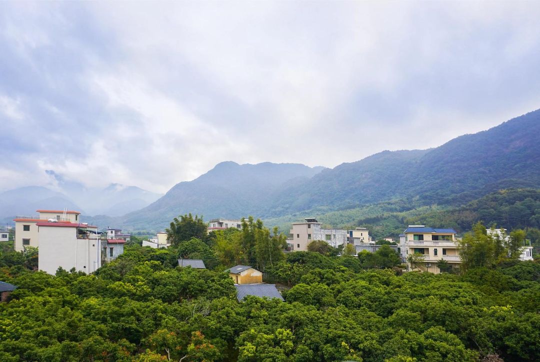 Mountain Living Diary Homestay