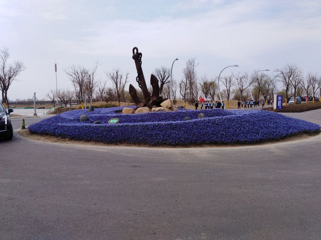 力高阳光海岸酒店民宿(渔航路1号分店)