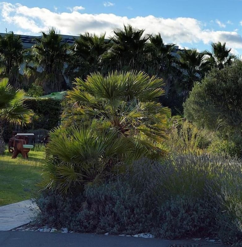 Le Jardin de Babylone Résidence Festive & Naturiste "réservé Aux Couples uniquement"