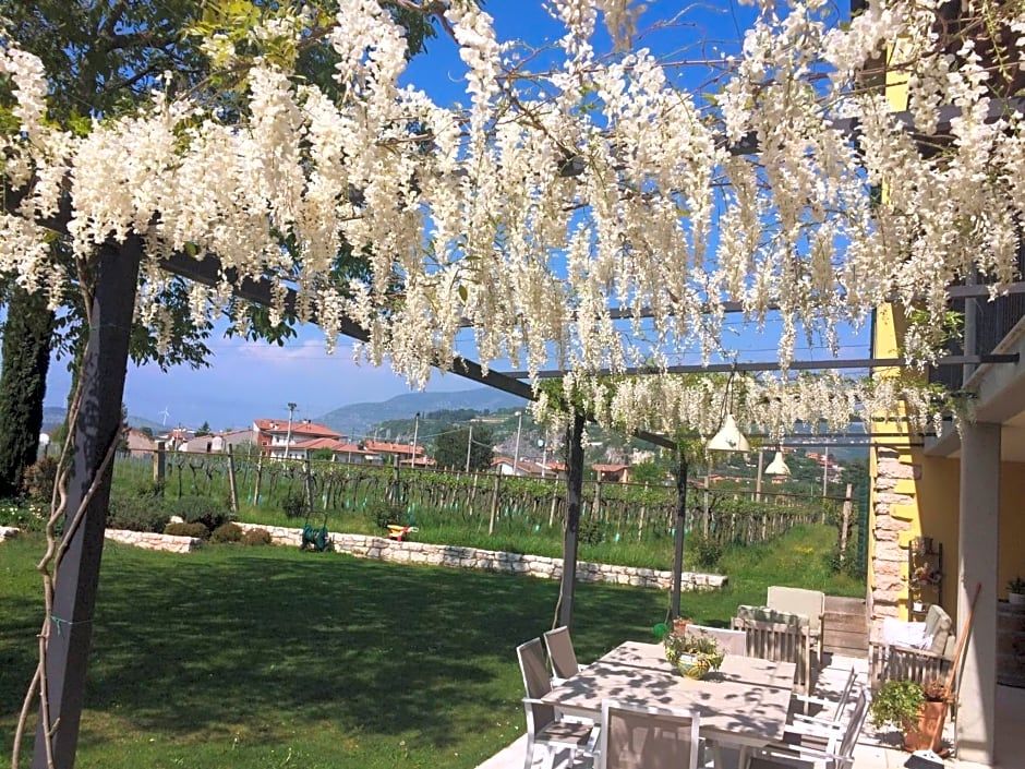 B&B Campagnon Valpolicella