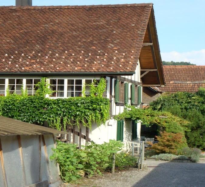 B&B Liechti Blumen
