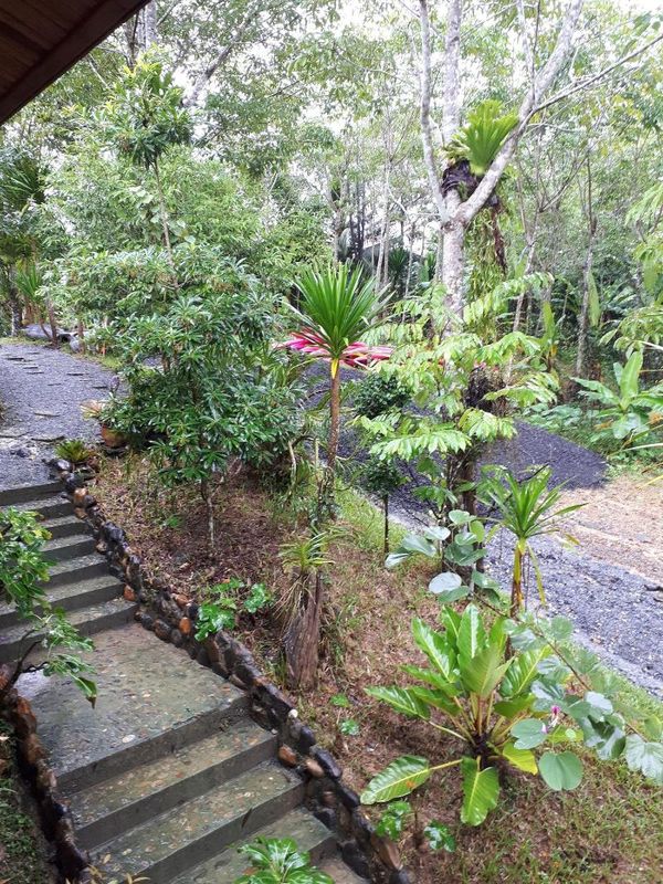 Longgaeng Wang Chompoo