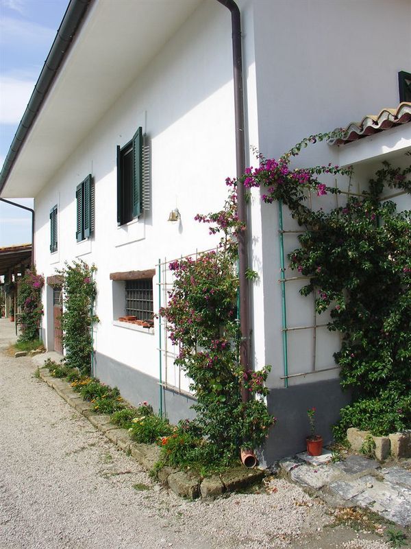 Tenuta Monte Sant'Angelo