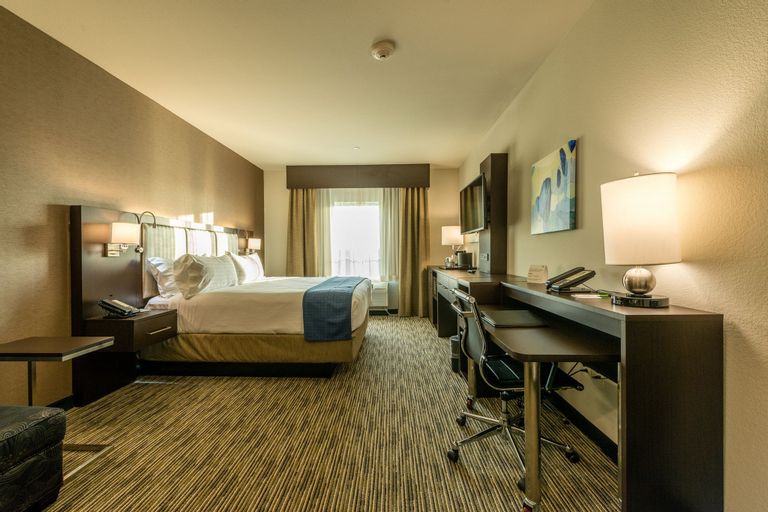 Holiday Inn 奧斯汀