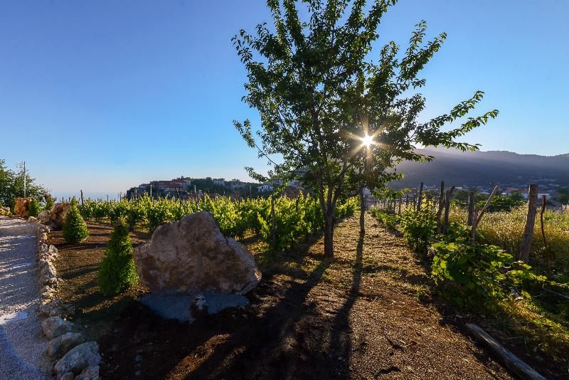 Antichi Orti del Sole