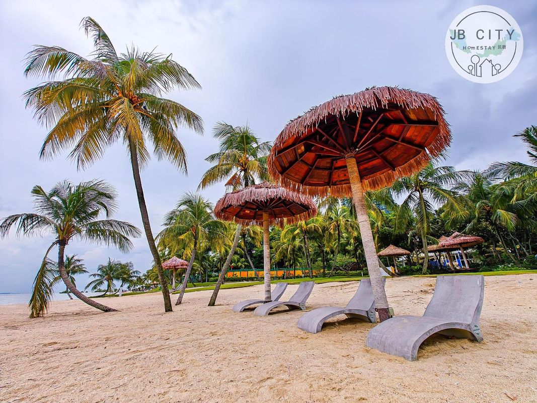 Forest City by JBcity Forest Ants