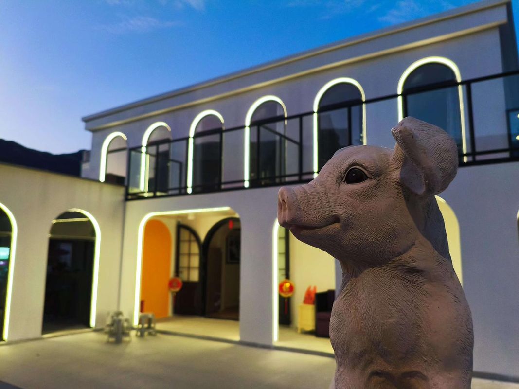 喜度美墅(西涌濱海旅遊度假區店)