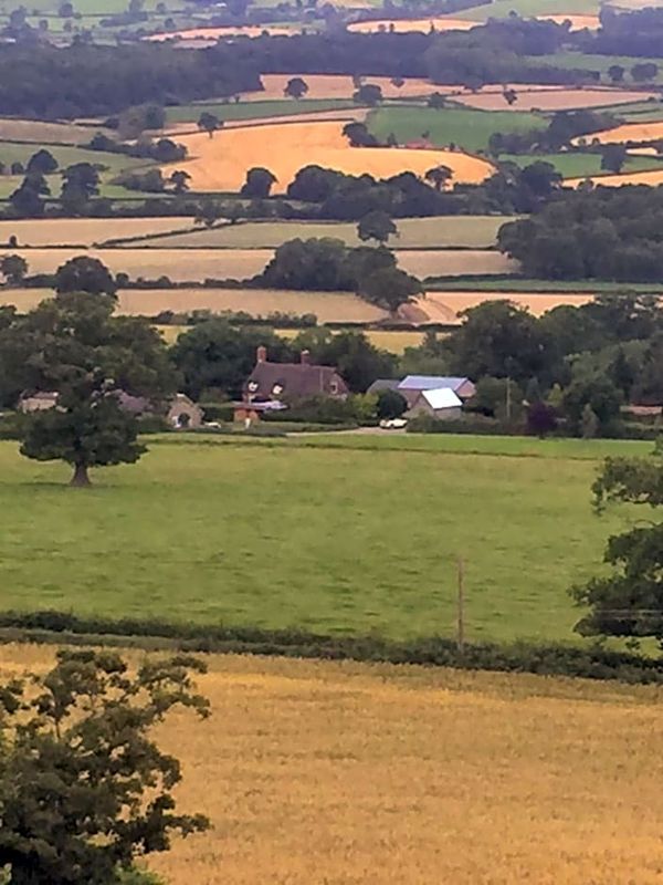 Bank Farm House