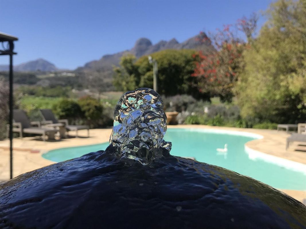 In the Vine Country Manor House