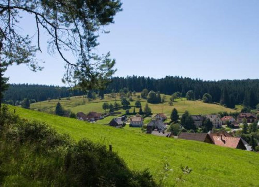 Auerhahn Bed and Breakfast - Black Forest - Waldhotel