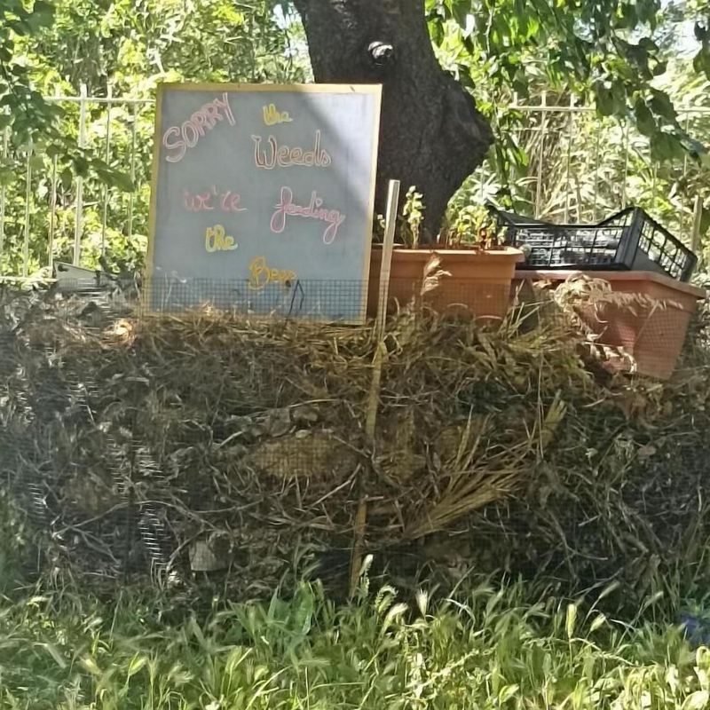 裏普的森林花園旅館