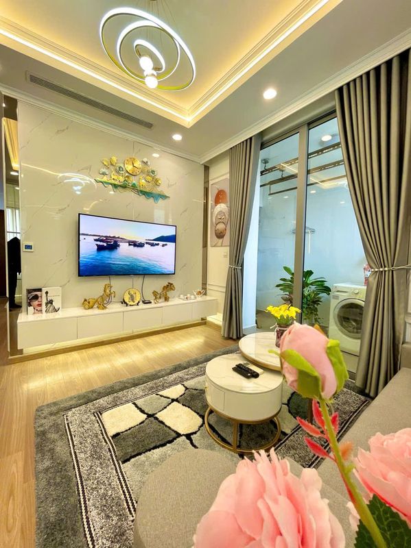 HKG - Vinhomes Time City - Park Hill - Apartment