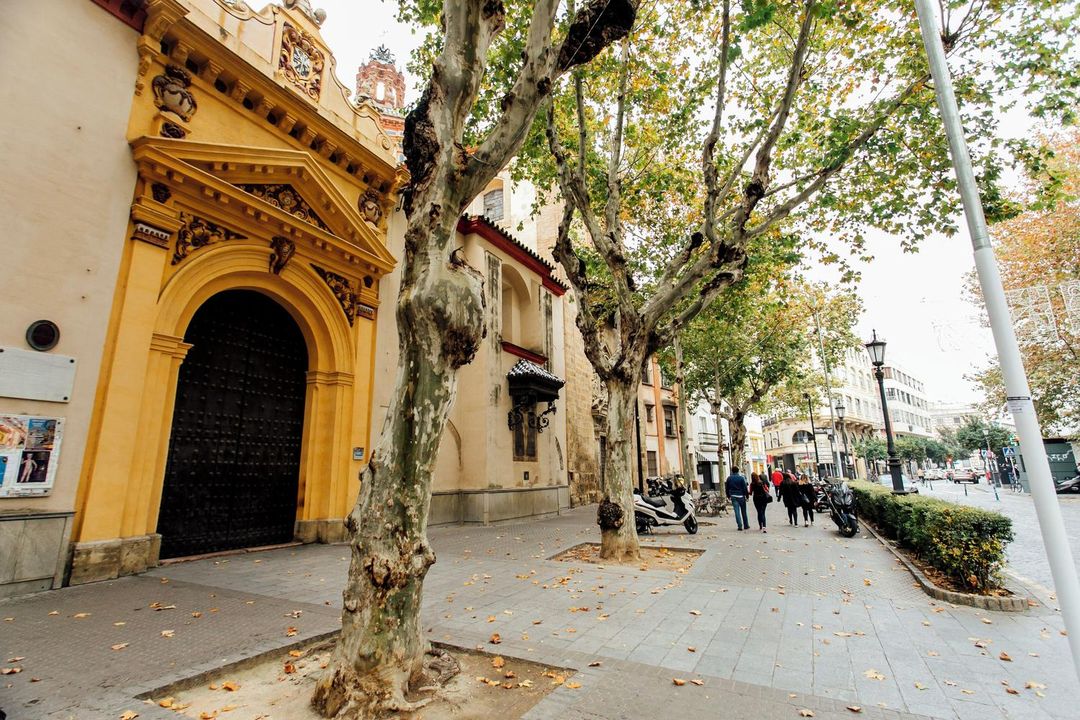 十九世紀庭院之家