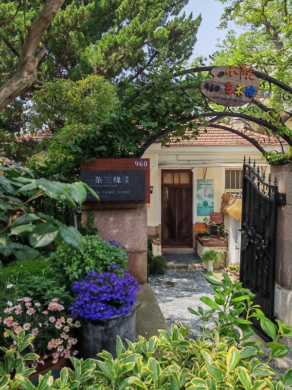 青島960青旅八大關寫生基地