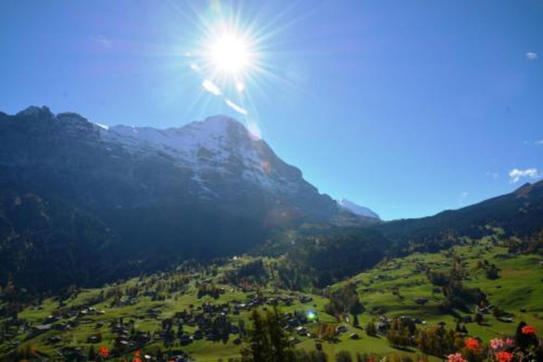 Apartment Bärgrose - Griwa Rent AG