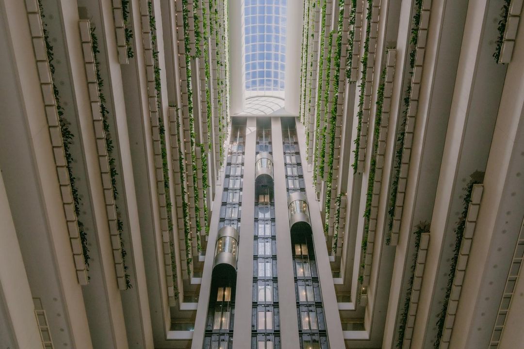 布里斯班洲際酒店