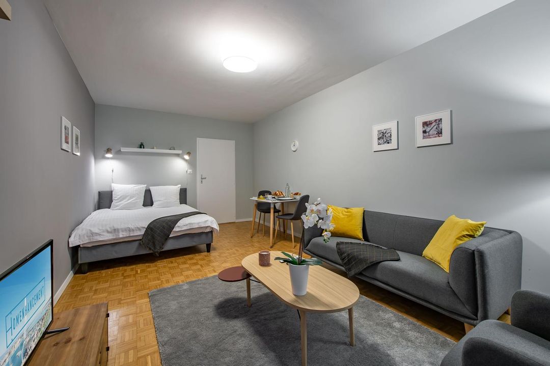 Homenhancement的瑞士行政公寓