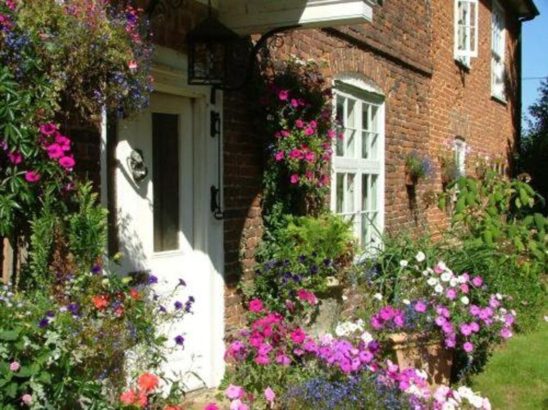 Molland Manor House Bed & Breakfast