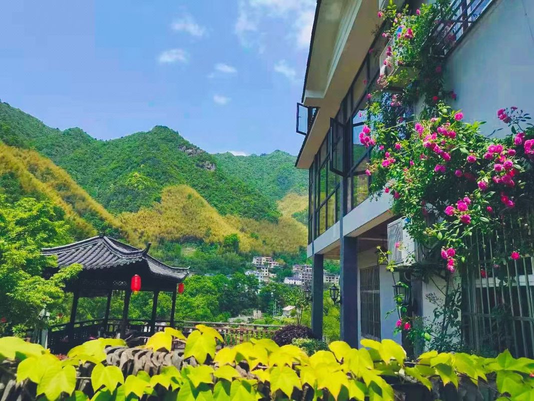 杭州柘林小住鄉村民宿