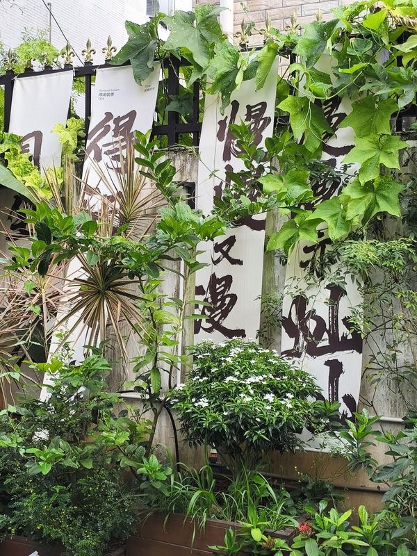 No. 17 Courtyard Villa All-Female Youth Apartment