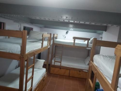 Purple Monkey Hostel