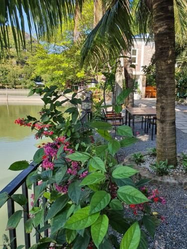 2Stones Cat Ba Homestay