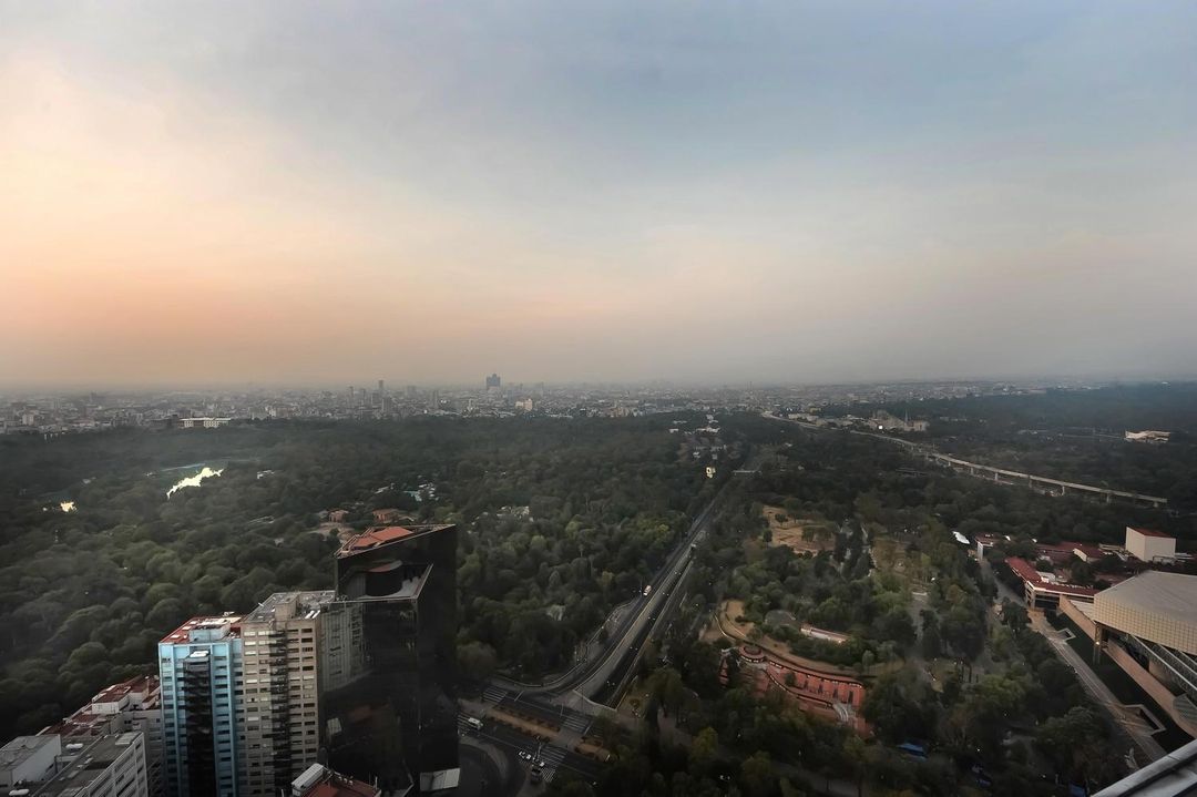 墨西哥城凱悅酒店