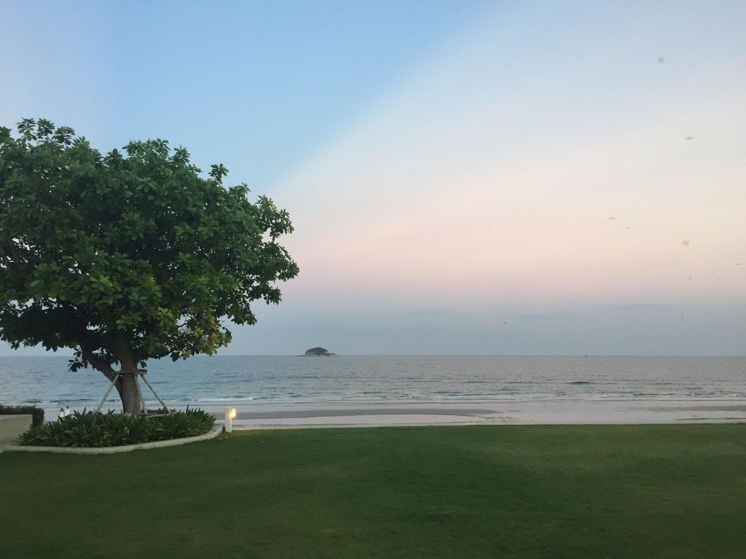 The Che Pool Access Beachfront Condo by Away