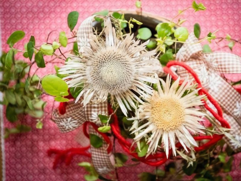 Steigmühle Pension Garni