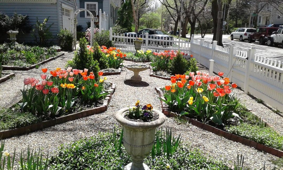 摩爾屋家庭旅館