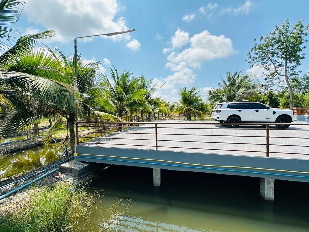 可可和運河家故事