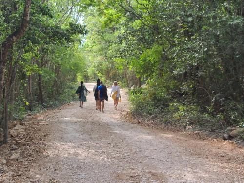 Unique Jungle Dome 2 Queen Beds