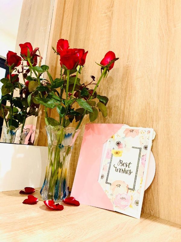 Cat BA Sunflower Hotel by Secret Garden