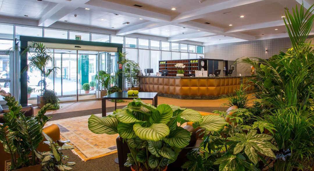 布萊絲法蘭西斯酒店