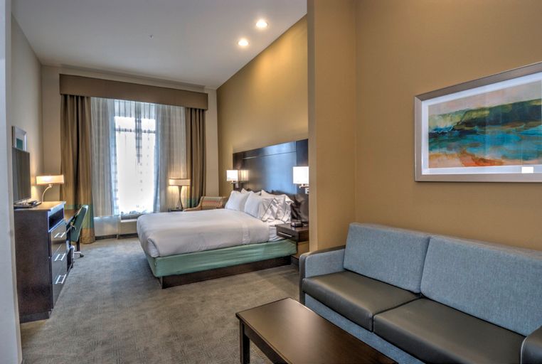 智選假日套房酒店甸南