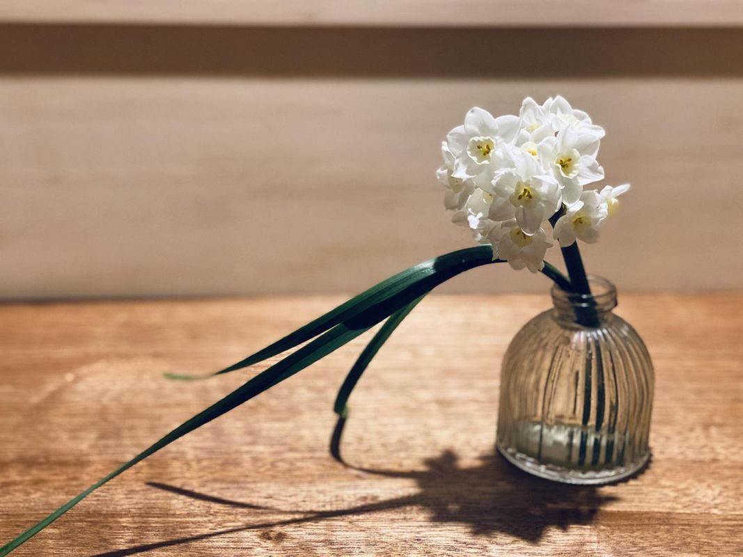 Toyouke no Mori Guesthouse