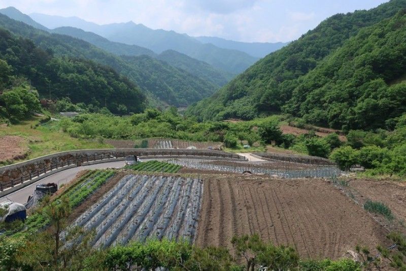 Hadong Hyujeong Pension
