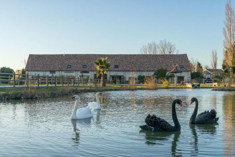 Abri Cosy - Suite Romantique en Camargue
