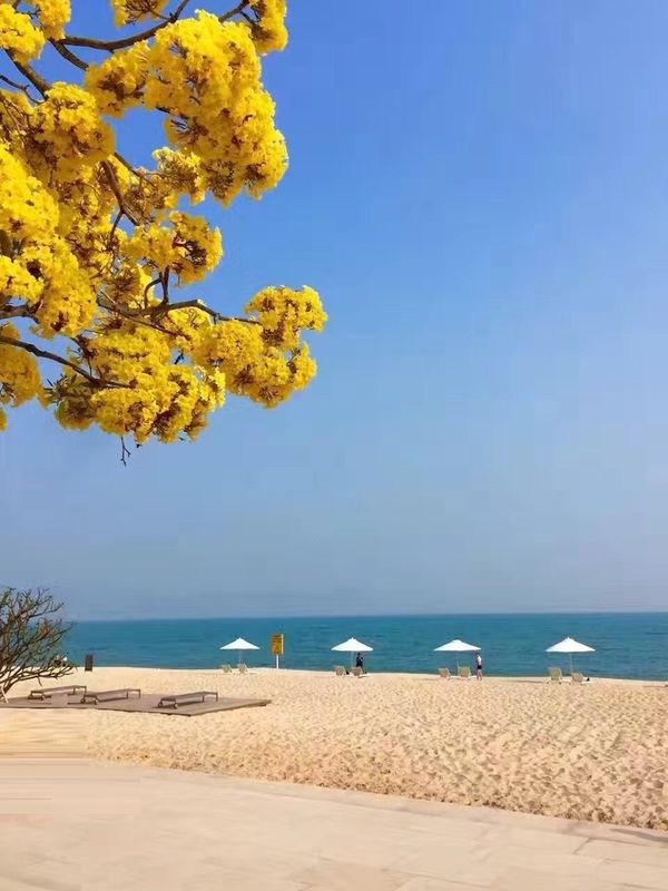 Diamond Seaview Hotel