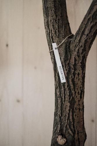 瓦爾德爾豪斯拉斐爾酒店