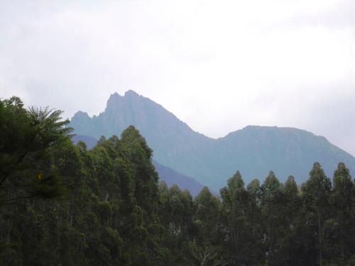 Sítio Serra do Gigante