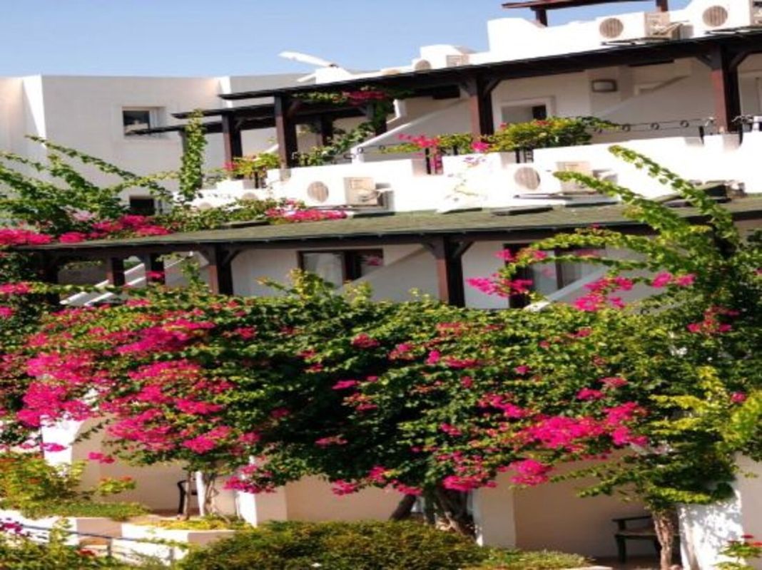 永遠俱樂部-限成人