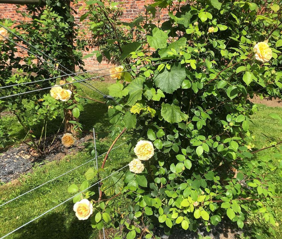 Stapleton/Parkgate Cottages