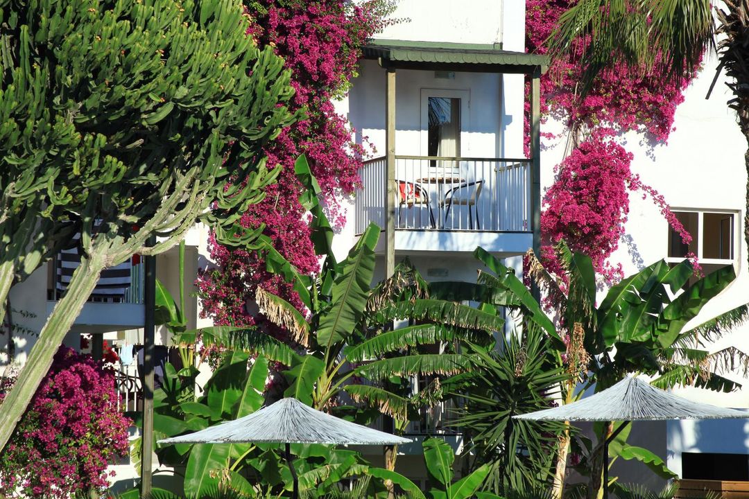 帕金阿雅斯度假村