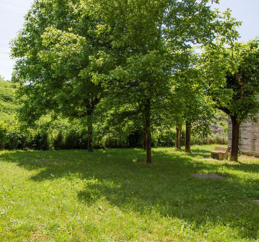 阿卡薩帝安德烈住宿加早餐旅館
