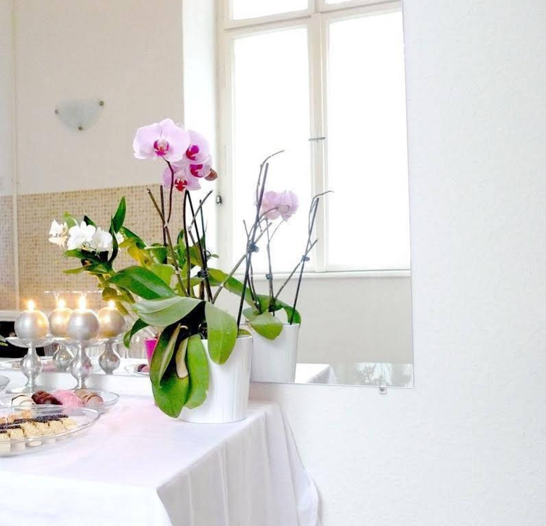 Planet Holiday Apartments