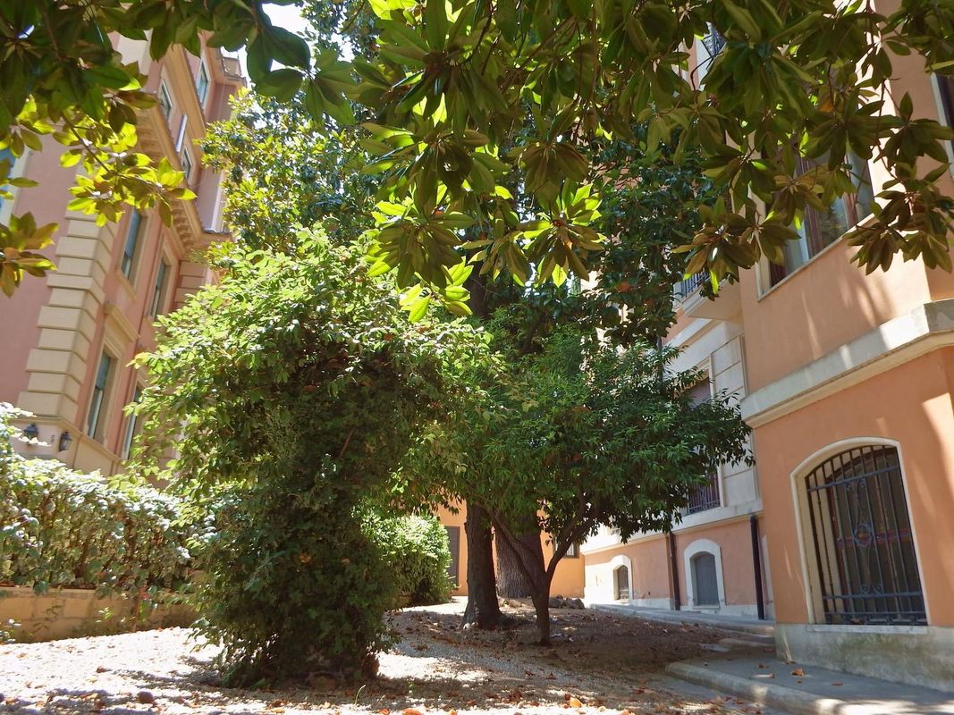 Domus Monamì Luxury Suites