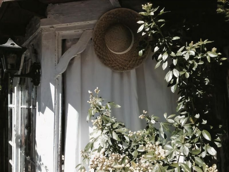 Maison du Lierre Bordeaux Centre Ville