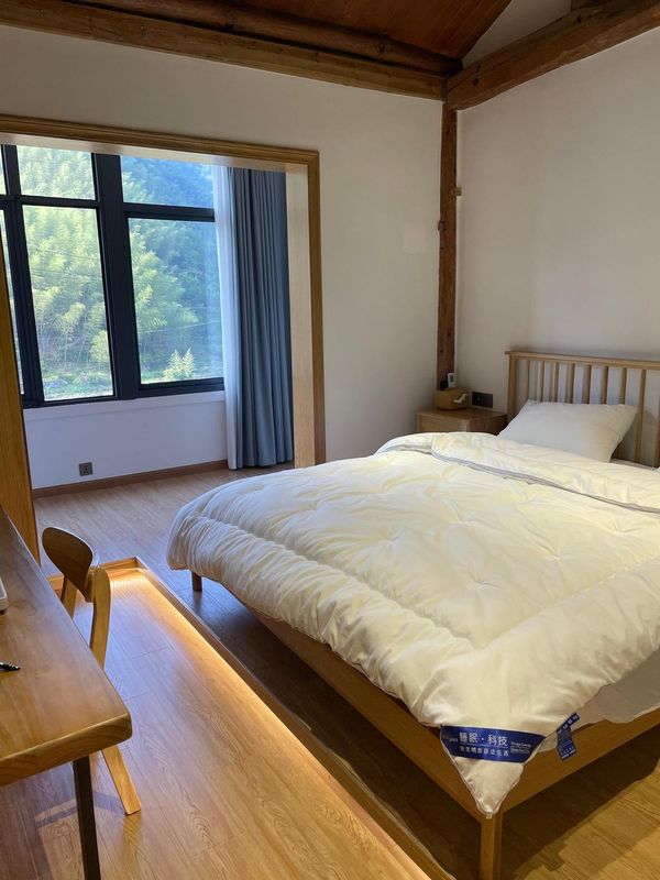 杭州臨安核桃樹下民宿